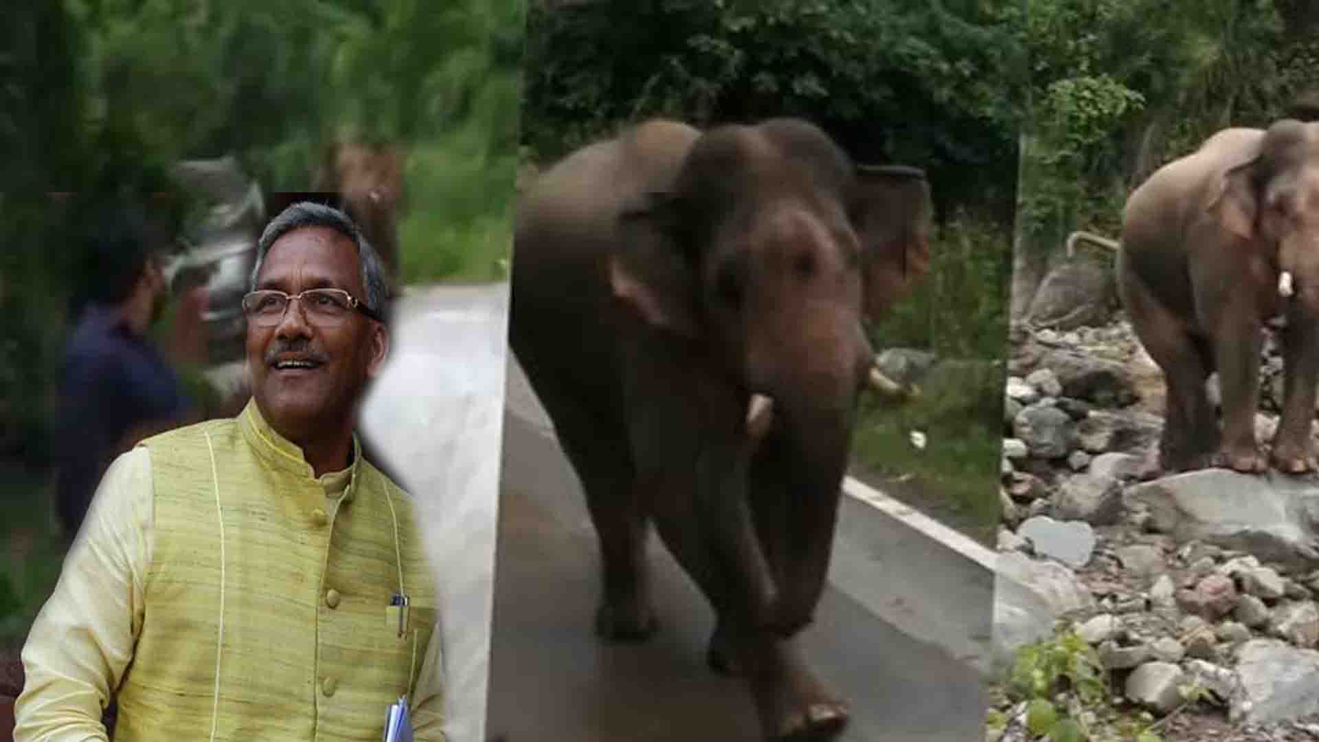 Elephant stopped former CM Trivendra Singh Rawat's convoy